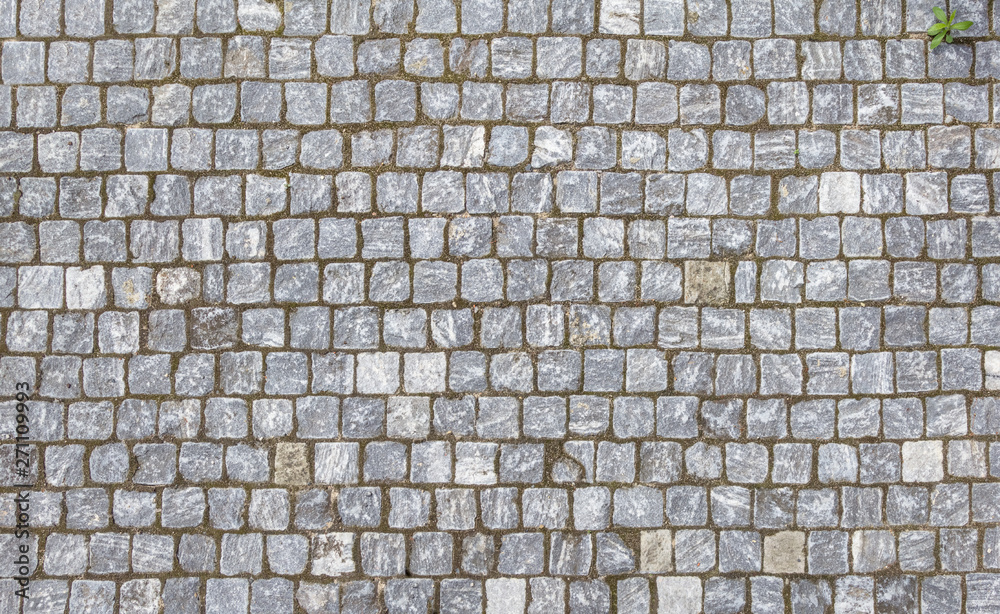 Fototapeta premium Closeup view on a cobblestone road.