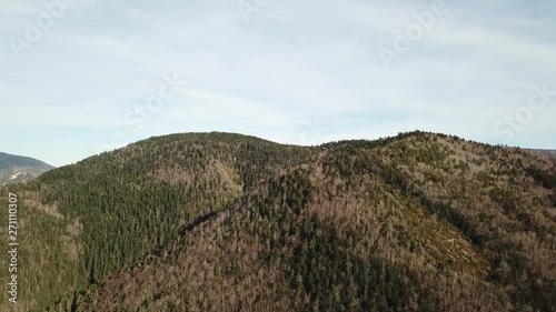 aerial view of pyrenean forest in Occitanie, Aude in the South of France