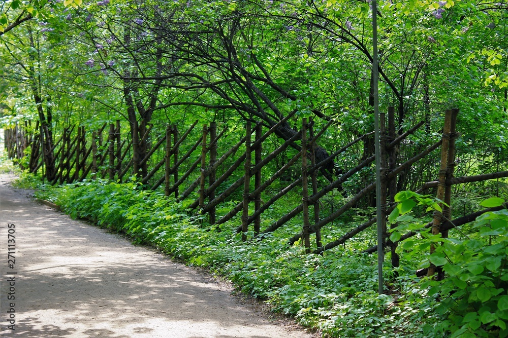 Unusual fence made of thin tree trunks.