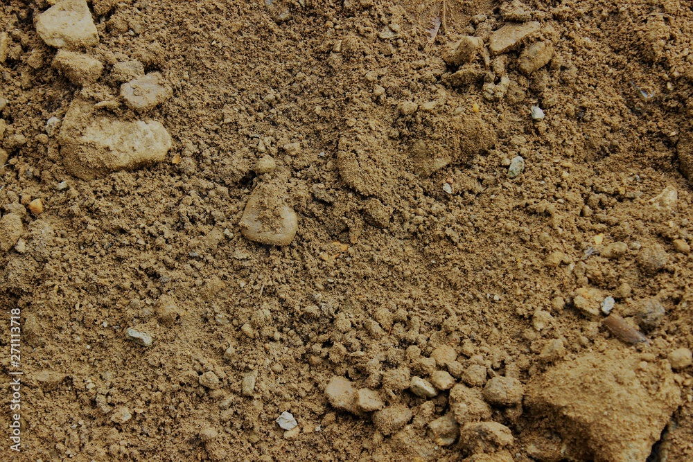 Texture of wet yellow sand with small stones. Texture of wet yellow sand with small stones.