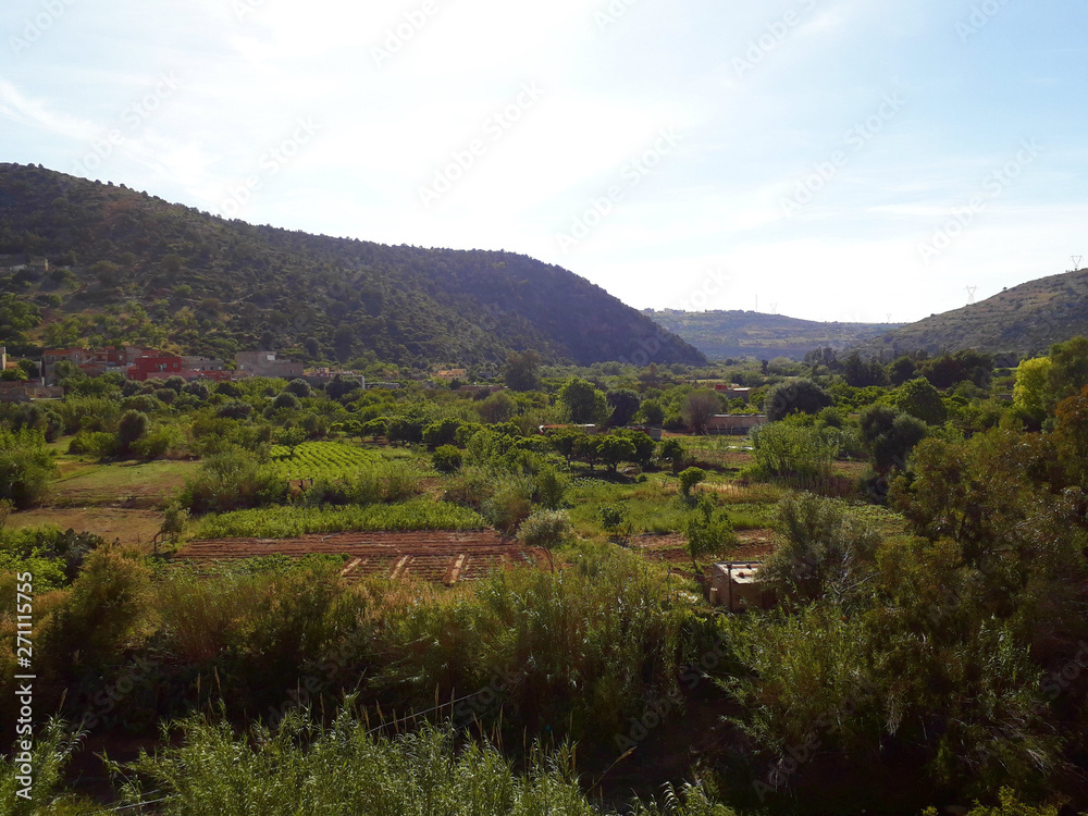 panorama of landscape and mountains