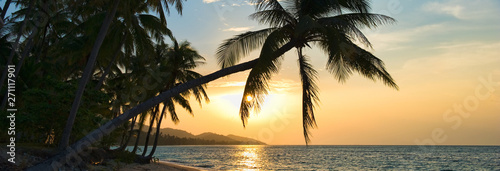 Beautiful horizontal image breathtaking sunset over Siam gulf on the Samui island at sunset  leaning palm trees above the water sun down golden lights. Asia  Thailand