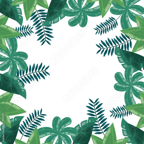 foliage leaves greenery herbs botanical background