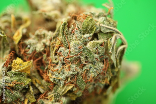 dry cannabis bud medical drug