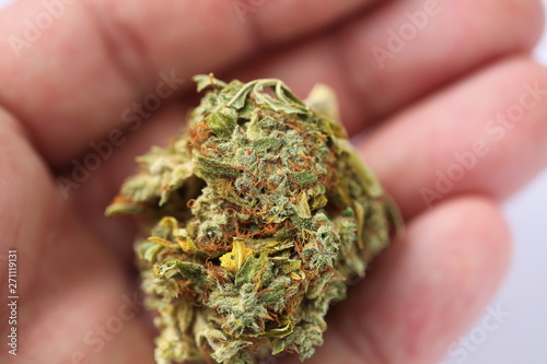 dry cannabis bud medical drug © Elroi