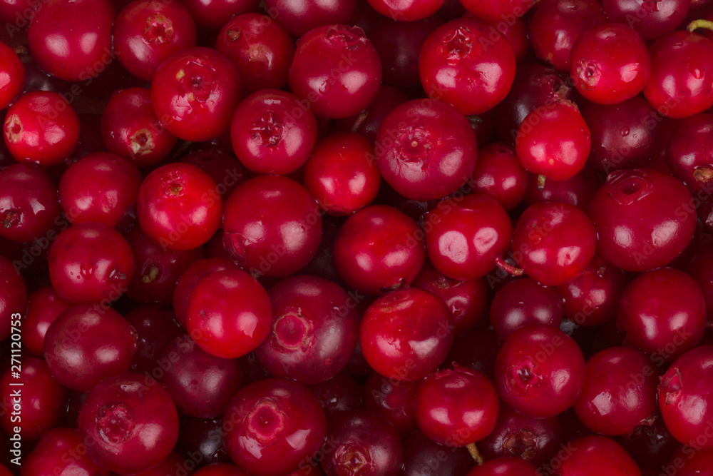 fresh red cowberries background