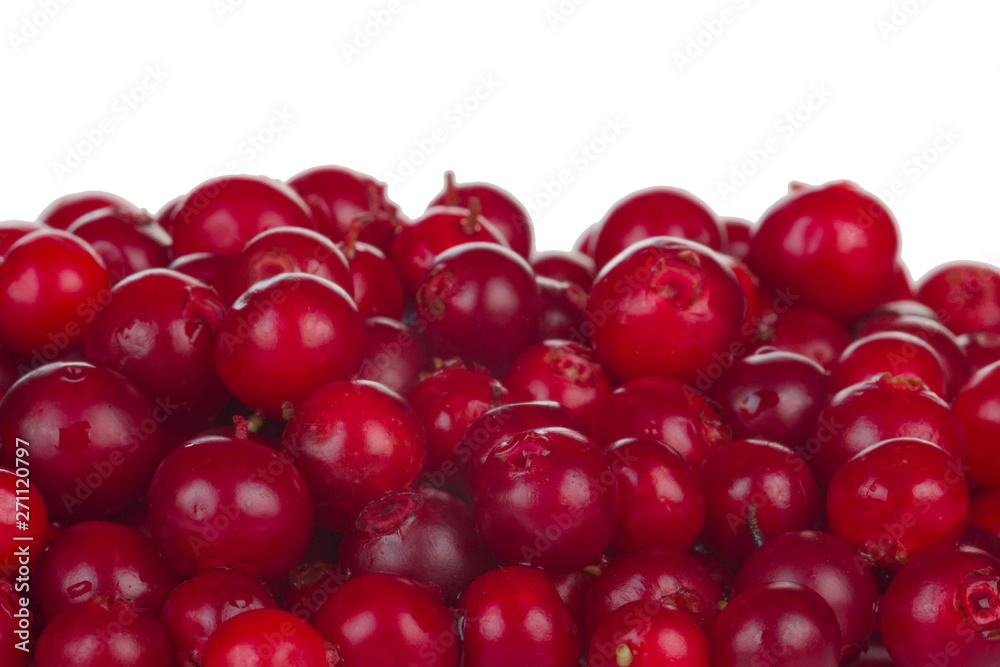 big heap of red fresh cowberries isolated on white big heap of red fresh cowberries isolated on white
