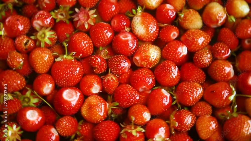 background of organic natural fresh ripe strawberry background of organic natural fresh ripe strawberry