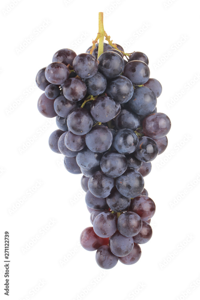 Fototapeta premium bunch of blue grapes isolated on white
