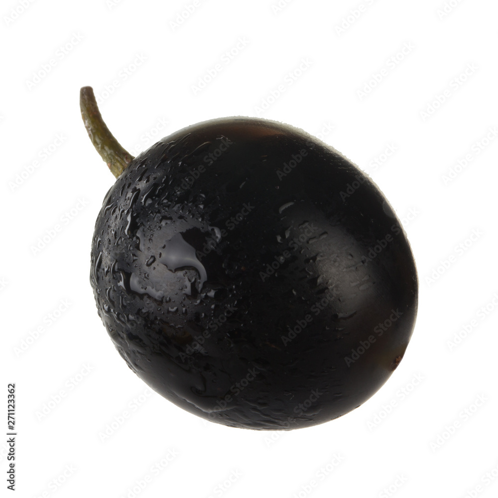 black grape isolated on white background black grape isolated on white background