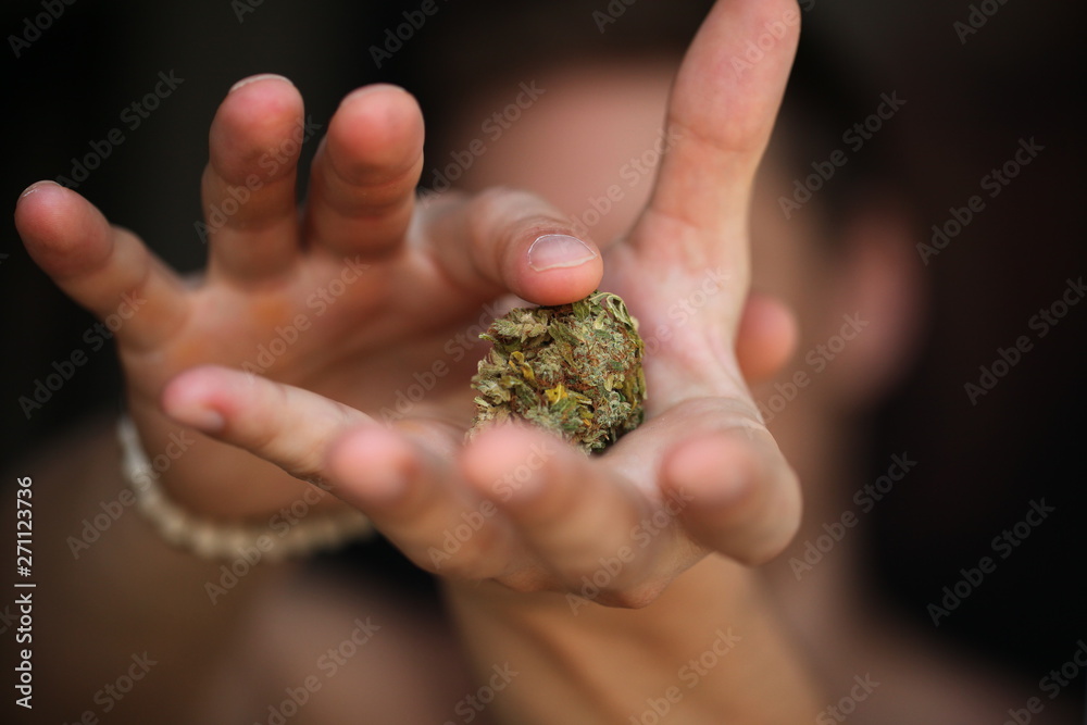 dry medical cannabis marijuana hand dry medical cannabis marijuana hand