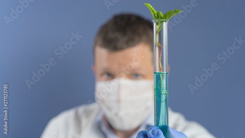 A scientist looking at an explant in a test tube photo