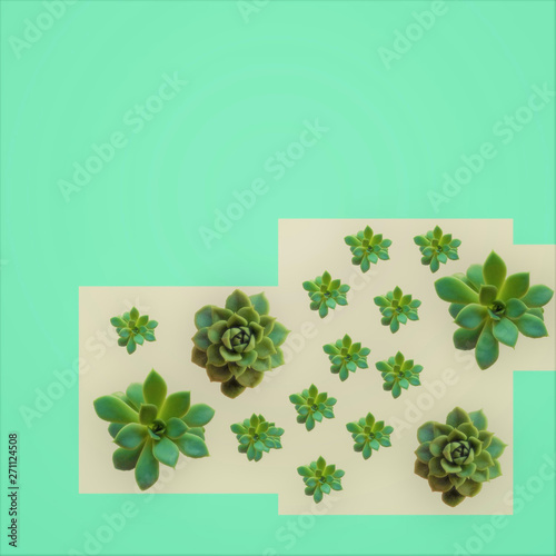 postcard plant congratulation pattern texture green