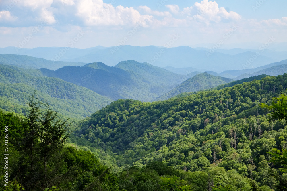 Overlook Landscape Overlook Landscape