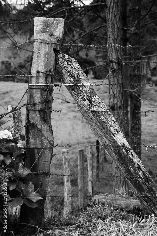 Obraz premium ruins of old house