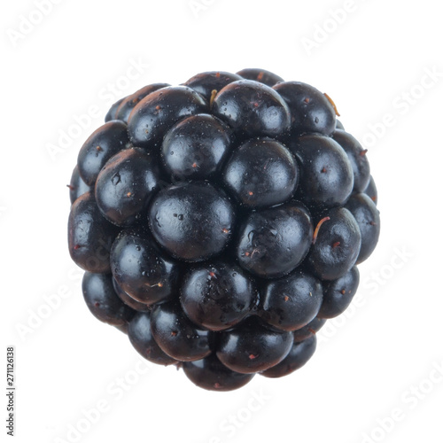 single blackberry isolated on white background