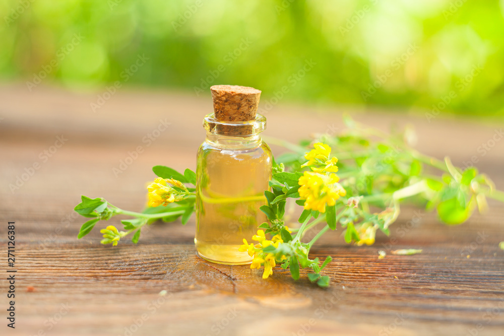 burclover essential oil in beautiful bottle on White background burclover essential oil in beautiful bottle on White background