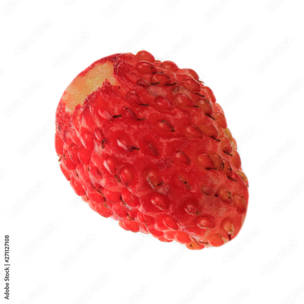 single fresh red wild strawberry isolated on white background single fresh red wild strawberry isolated on white background