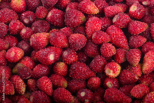 red fresh wild strawberries background