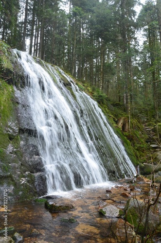 Cascade de la Pissoire (88)