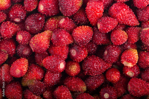 red fresh wild strawberries background