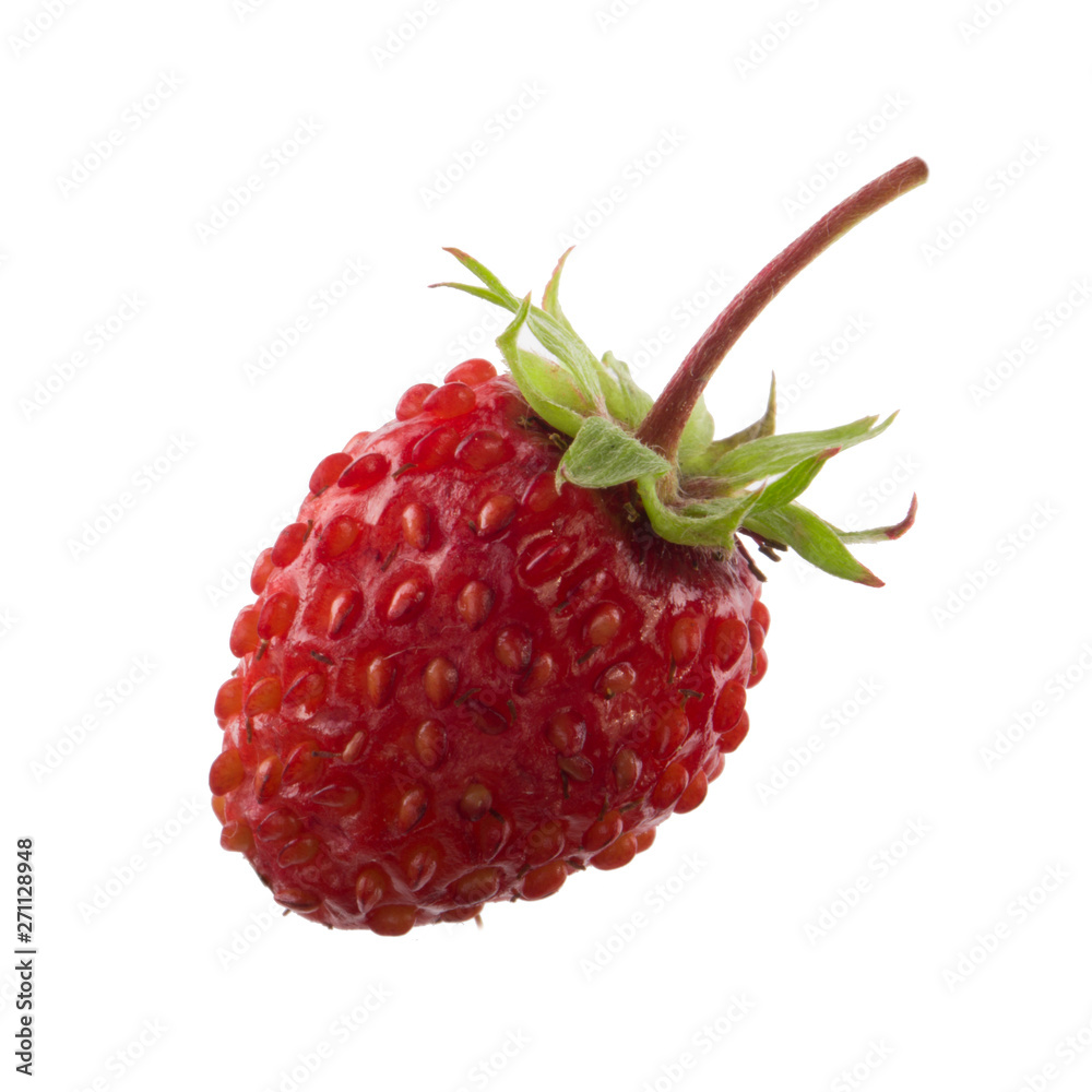 single fresh red wild strawberry isolated on white background