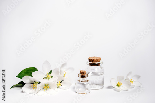 Spa natural cosmetic concept. White background with copy space for text.