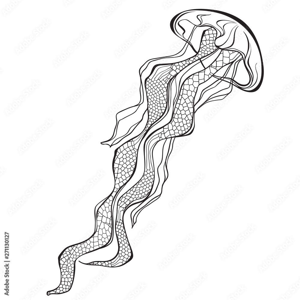 Fototapeta premium Jellyfish. Vector hand-drawn illustration on a white background. Isolated element for design.