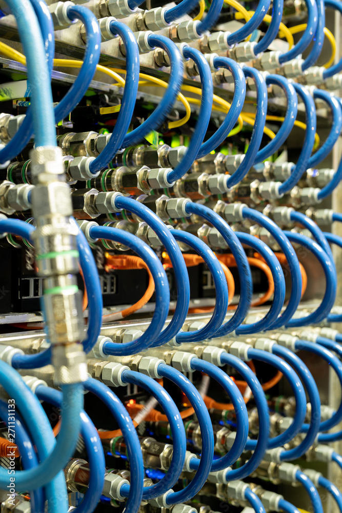 Close-up of blue server cables connected to optic ports of modern network equipment in database center, background image