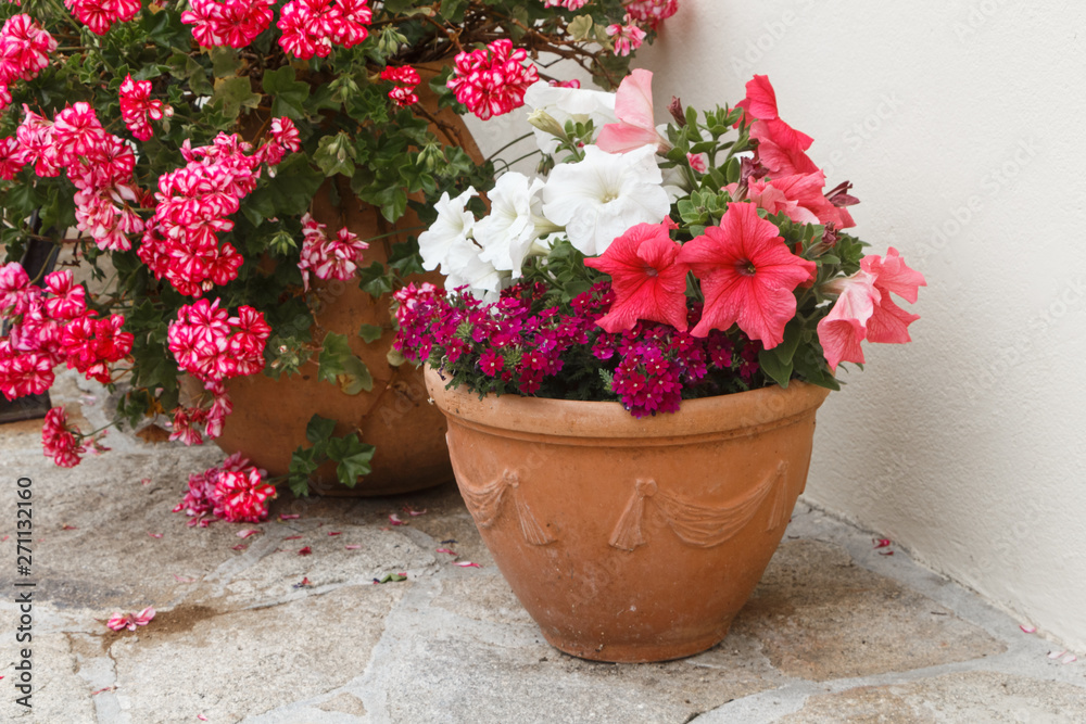 Planter with pink and white petunia flowers in a garden during spring