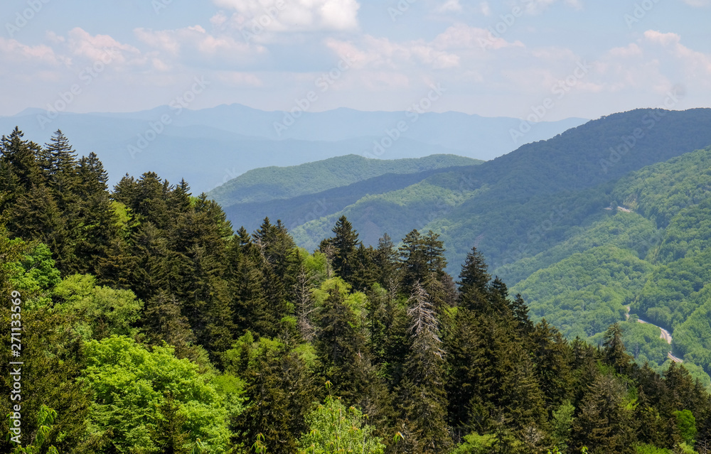 Fototapeta premium Newfound Gap Overlook