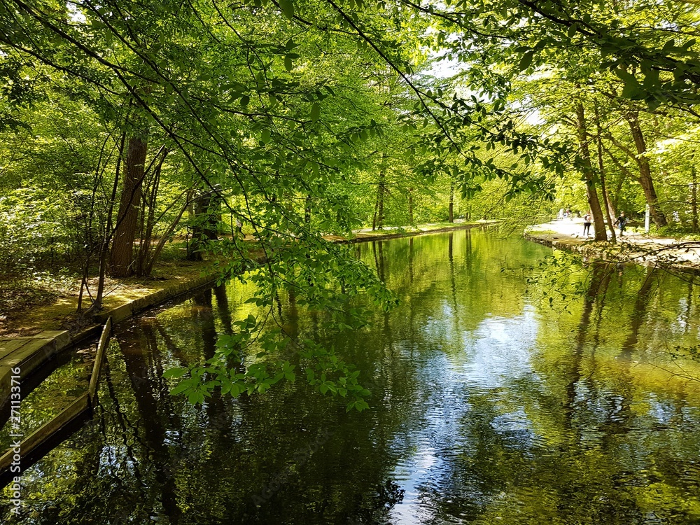 Fototapeta premium River in kings garden. From Germany.