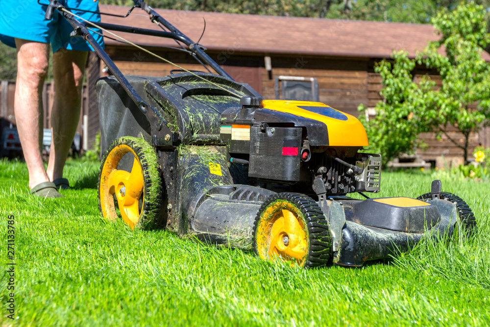Obraz premium Man mows grass with lawn mower on sunny morning in garden.