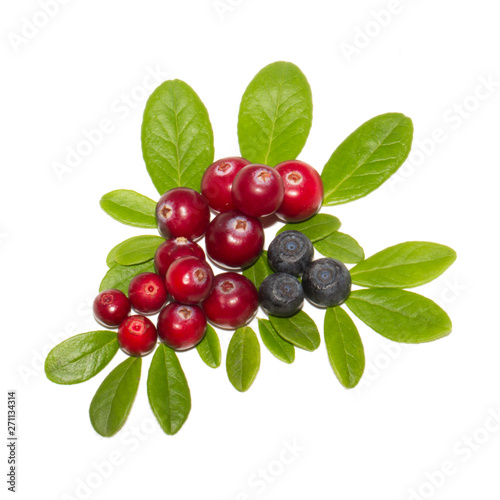 cranberries and bilberries with leaves isolated on white background