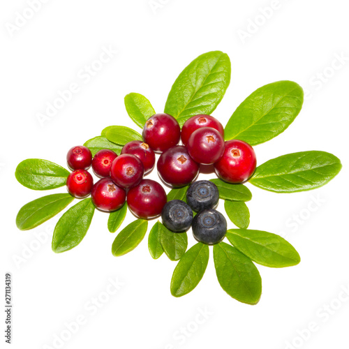cranberries and bilberries with leaves isolated on white background photo