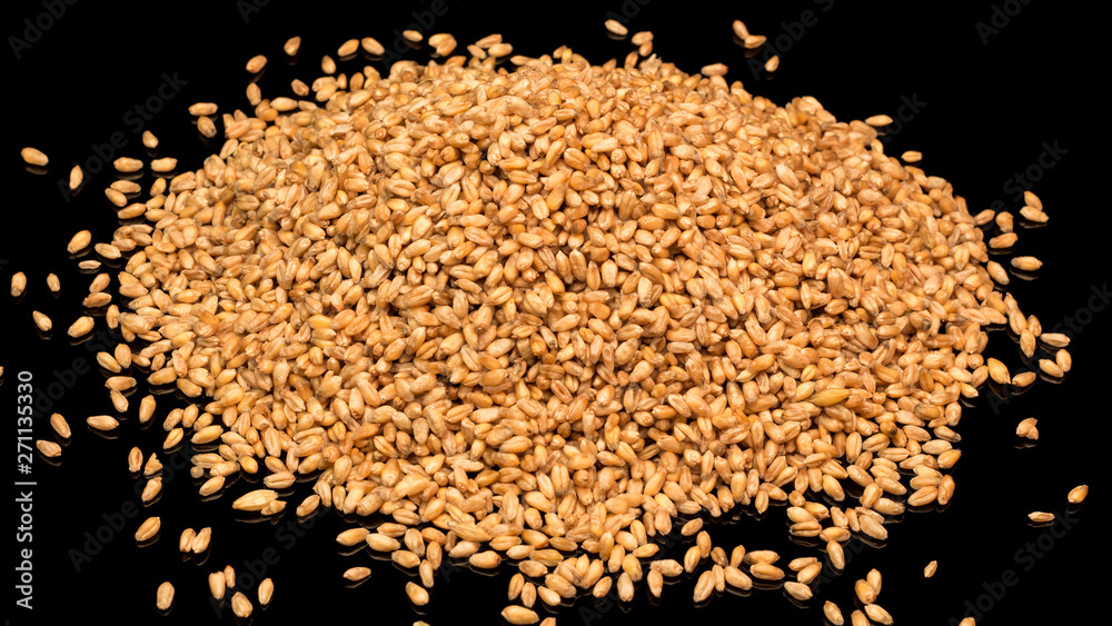 Wheat close-up. Wheat grains on a black background. Durum wheat. Grain crop. Sowing or harvesting grain. Harvest of wheat of the first grade. Wheat close-up. Wheat grains on a black background. Durum wheat. Grain crop. Sowing or harvesting grain. Harvest of wheat of the first grade.