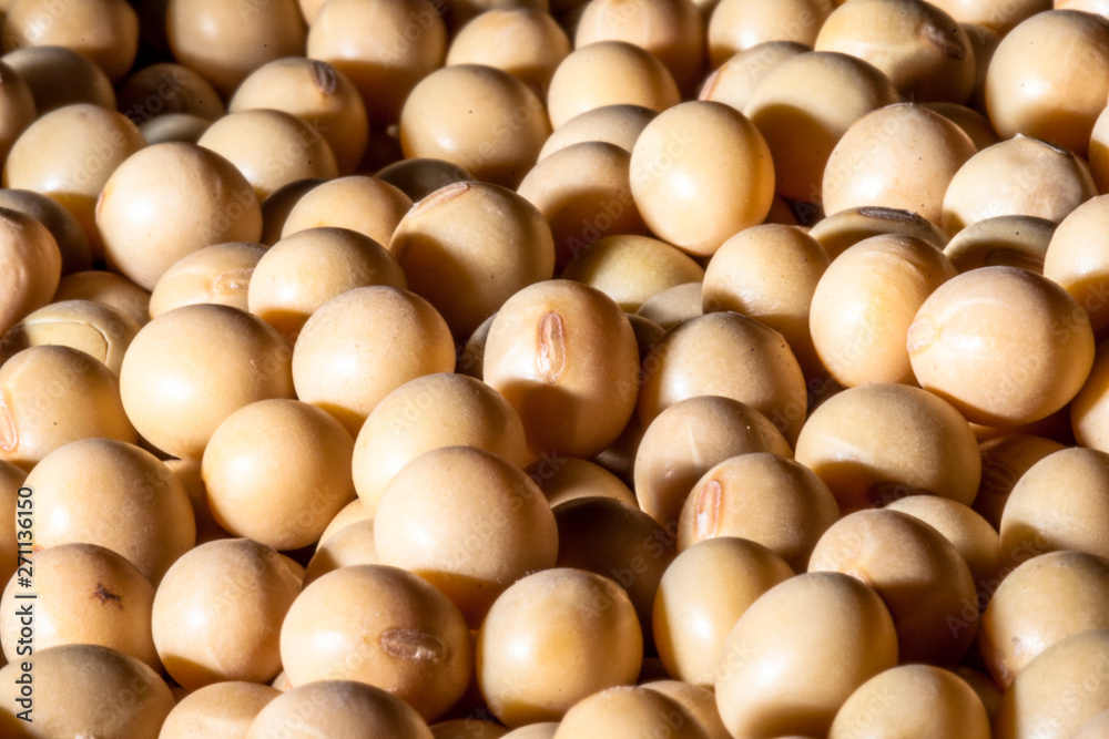 Brazilian soybean seeds background with selective focus Brazilian soybean seeds background with selective focus