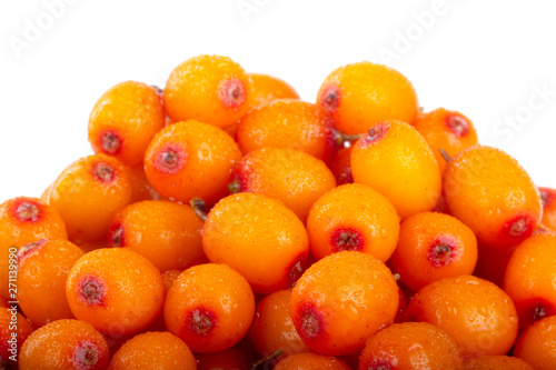 heap of sea buckthorn isolated on white