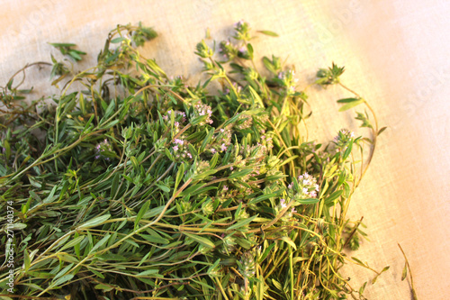 Fresh thyme herb in bloom, lemon thyme plants, linen background, healthy food, greens.