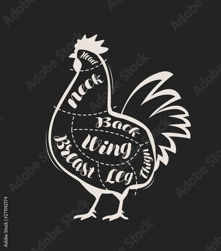 Diagram guide for cutting chicken meat drawn on the blackboard. Menu for restaurant or butcher shop. Vector