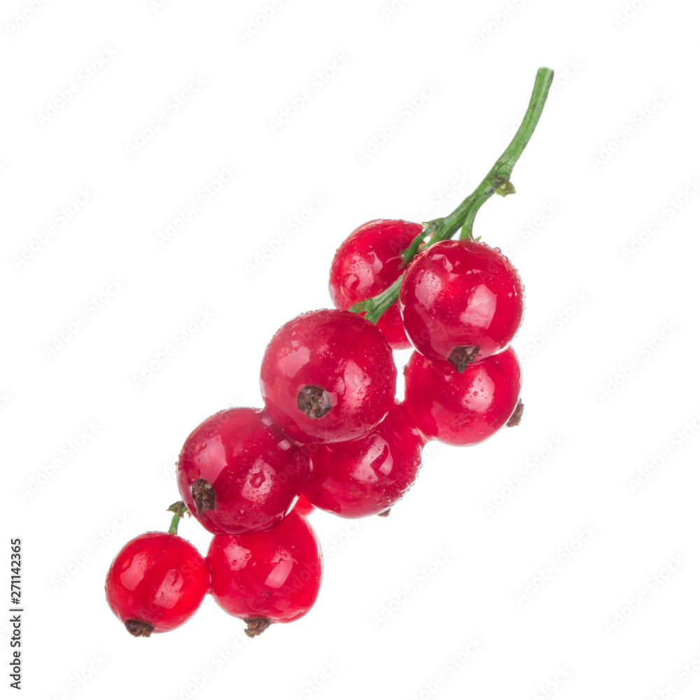 bunch of red currant isolated on white background