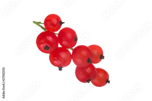 bunch of red currant isolated on white background