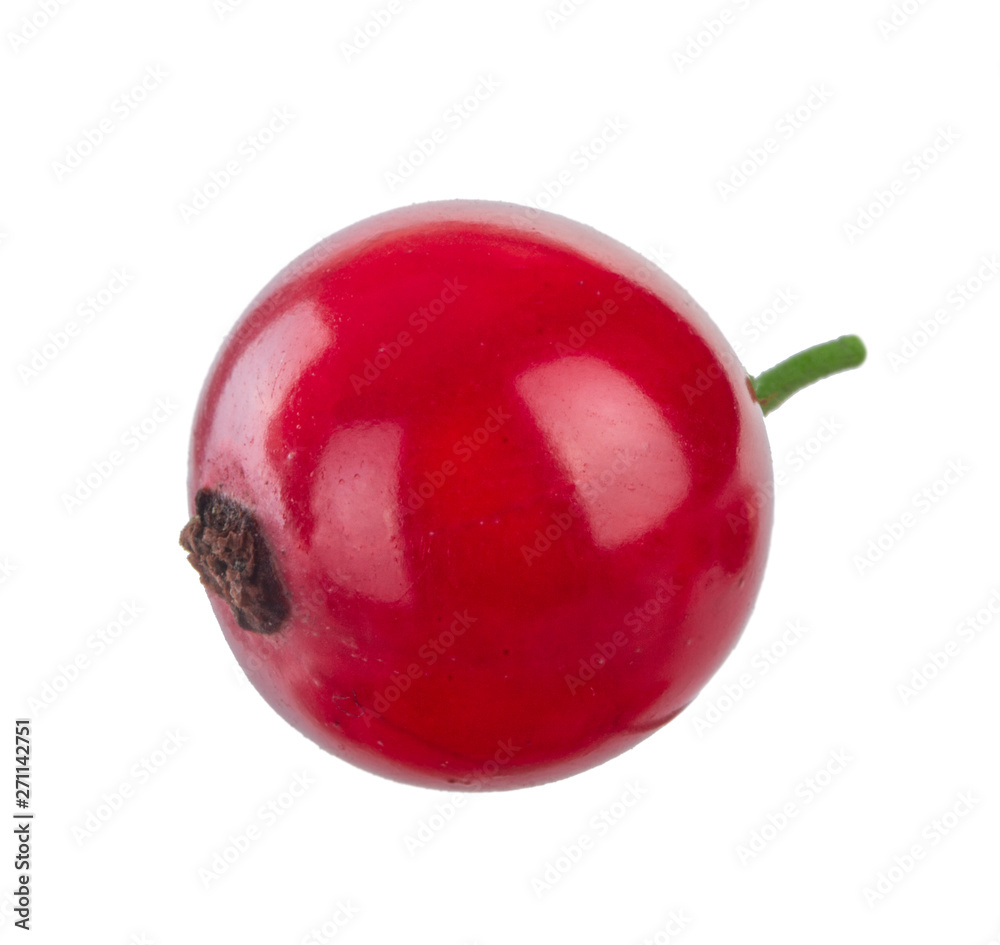 single red currant isolated on white background single red currant isolated on white background