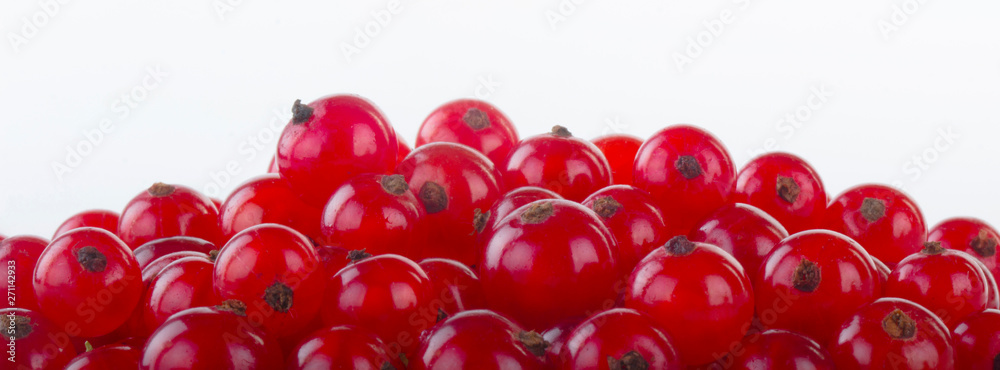 heap of fresh red currants isolated on white background banner heap of fresh red currants isolated on white background banner