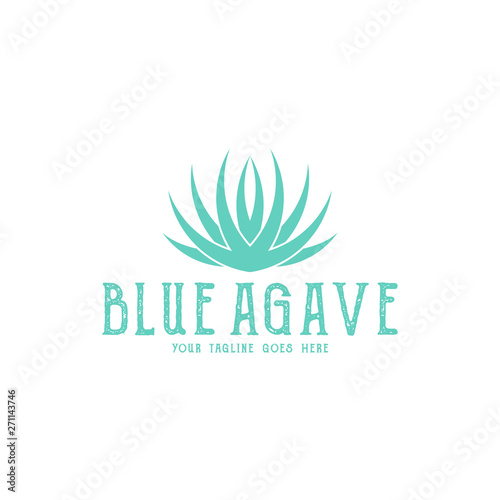 Blue agave. Tequila logo. Isolated agave on white background