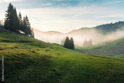 Canvas Print foggy dawn in romania countryside