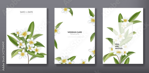 Minimalist floral tropical trendy greeting or wedding invitation card template design, set of poster, flyer, brochure, cover, party advertisement, tropic plumeria flowers in vector photo