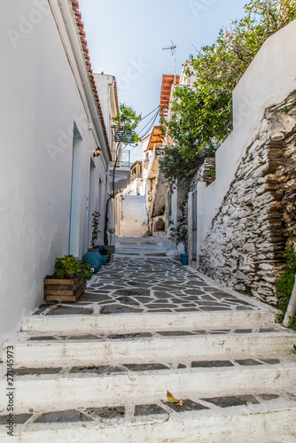 Traditional alley in Batsi village of Andros, on a sunny day, Cyclades, Greece © Stamatios