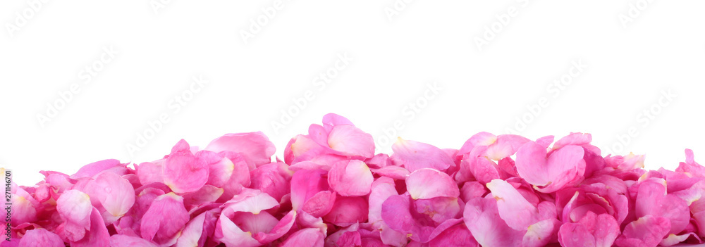 Fototapeta premium heap of pink rosehips petals isolated on white background banner