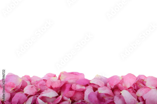 heap of pink rosehips petals isolated on white background